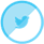 Twitter icon